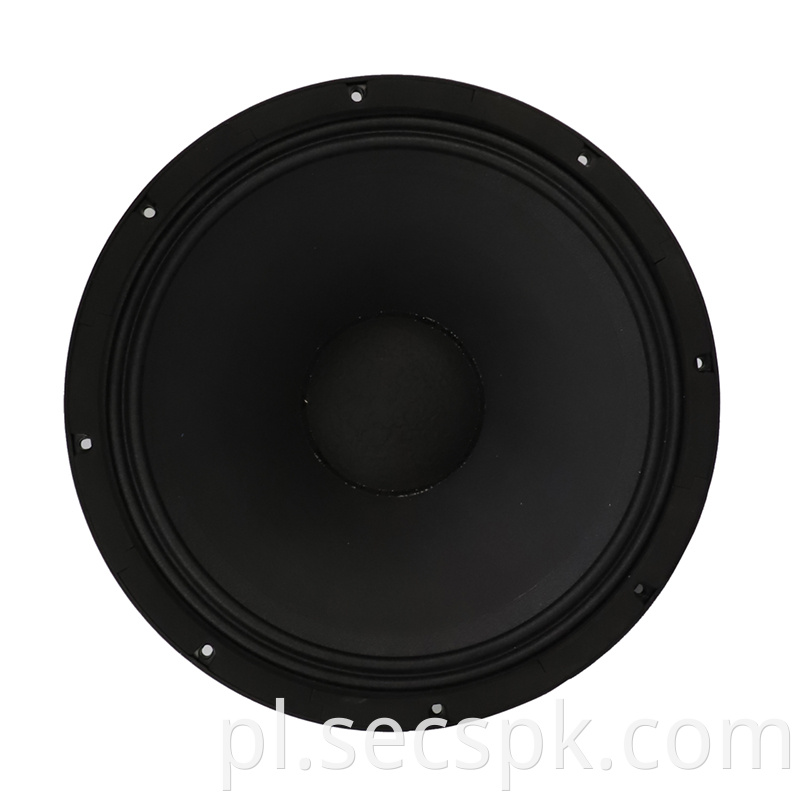 8ohm Party Stage Speaker